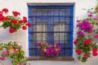 Centro District, Cordoba, Andalusia, Spain. Colorful flowers decorate a blue window. Art Print